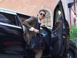 Profesional