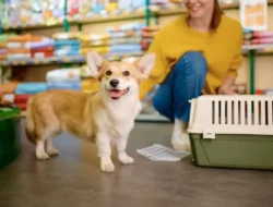 Peluang UMKM di Industri Pet Food yang Terus Naik Berkat Peningkatan Adopsi Hewan